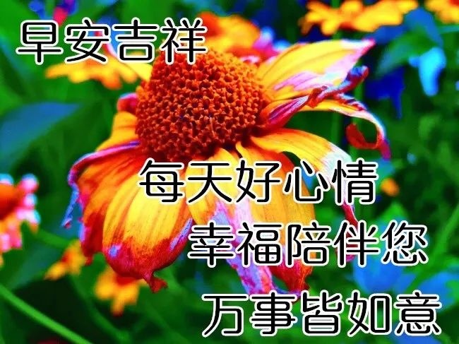 早安励志心灵鸡汤文字配图_励志早安鸡汤简短_早安心灵鸡汤励志语录