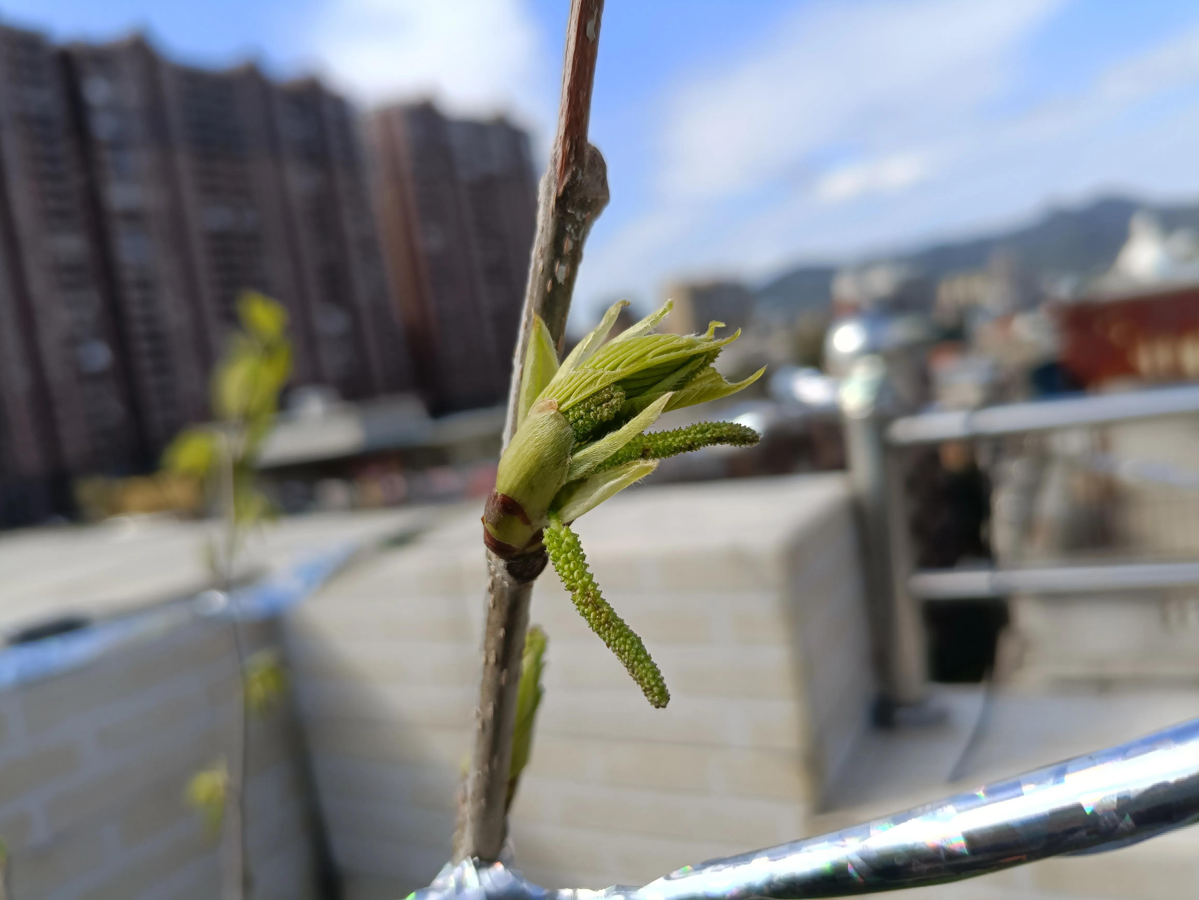 鸡汤作家炼成心灵是谁写的_因为心灵鸡汤而成功的人_心灵鸡汤：作家是怎样炼成的