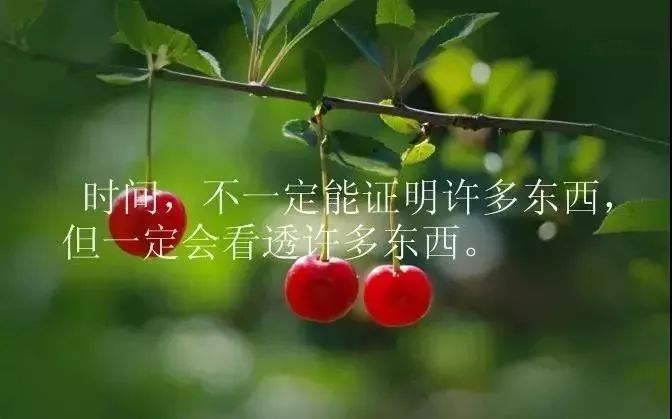 励志鸡汤心灵文章摘抄_励志鸡汤心灵文章素材_励志文章心灵鸡汤