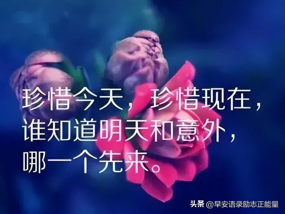 有关友情的心灵鸡汤_关于友情的心灵鸡汤句子_心灵鸡汤关于友情