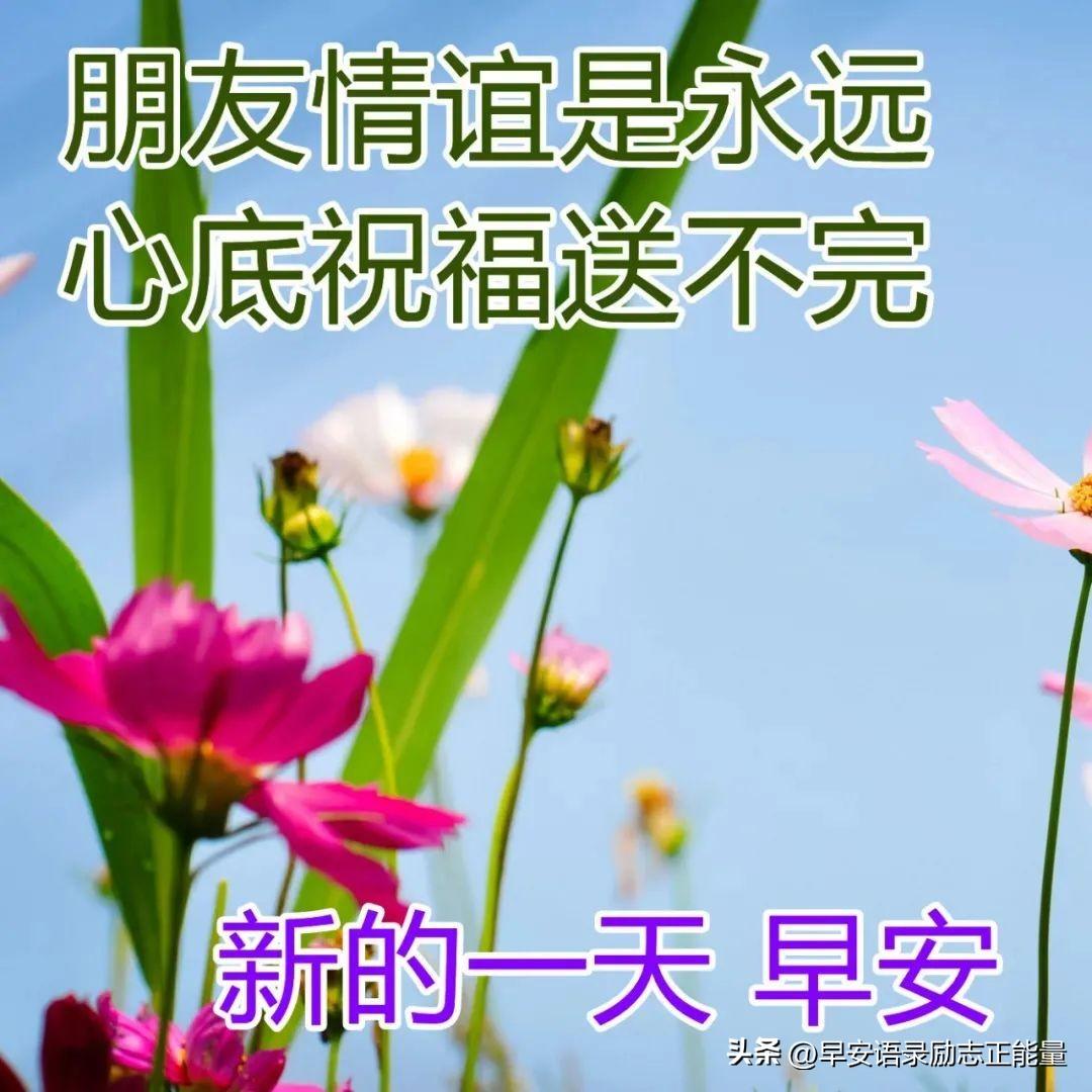 关于友情的心灵鸡汤句子_有关友情的心灵鸡汤_心灵鸡汤关于友情