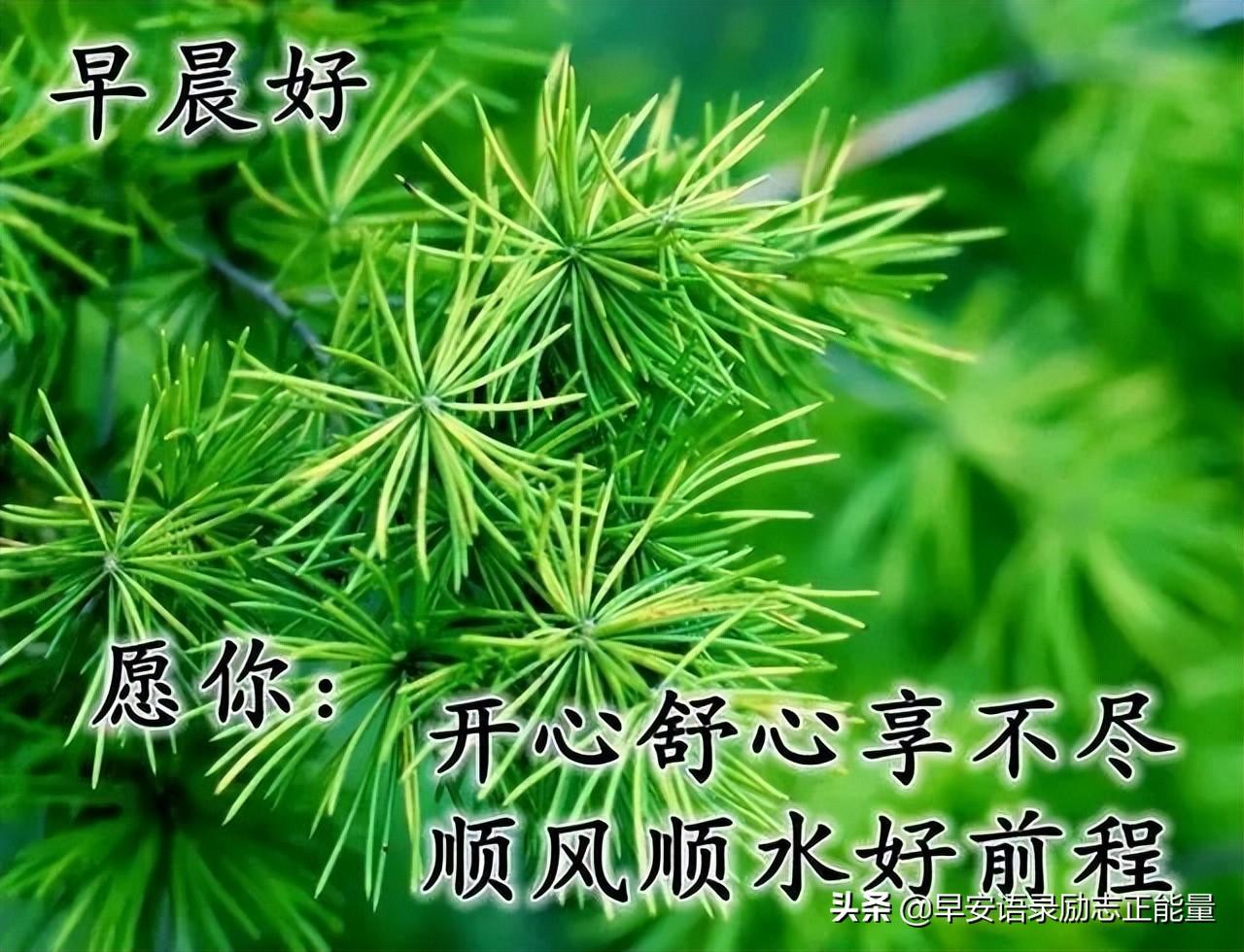 友情心灵鸡汤经典语录_心灵鸡汤关于友情_有关友情的心灵鸡汤