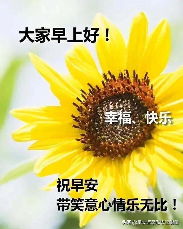 心灵鸡汤关于友情_有关友情的心灵鸡汤_友情心灵鸡汤经典语录