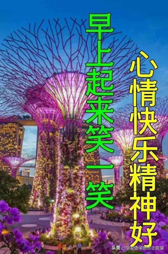 友情心灵鸡汤经典语录_有关友情的心灵鸡汤_心灵鸡汤关于友情