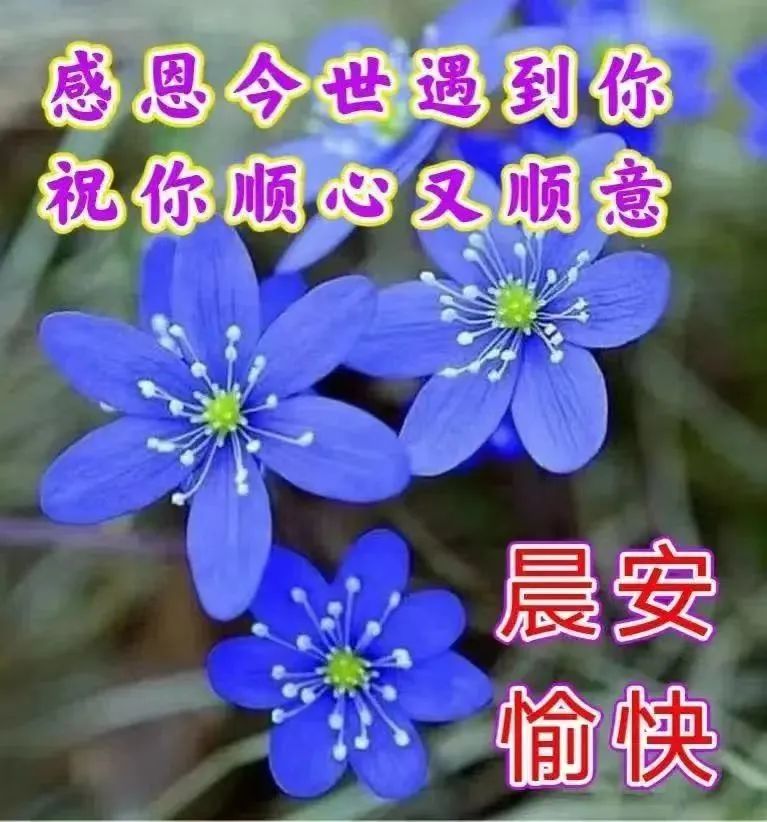 心灵鸡汤语录短句_心灵鸡汤语言_微商心灵鸡汤经典语录