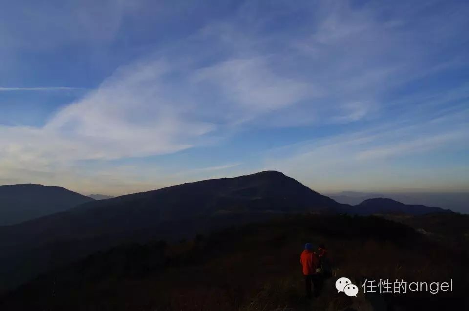 心灵鸡汤的解释_心灵鸡汤于丹_心灵鸡汤的出处