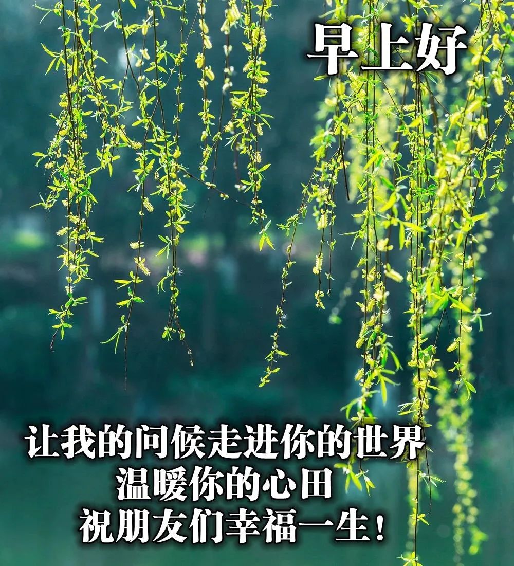 瑜伽心灵鸡汤经典语录_瑜伽鸡汤文_瑜伽鸡汤短句