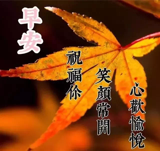 中考心灵鸡汤经典语录_中考心灵鸡汤短句_中考励志的心灵鸡汤