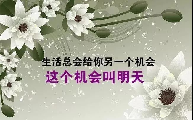 励志鸡汤心灵文章摘抄_心灵鸡汤励志文章_励志鸡汤心灵文章素材