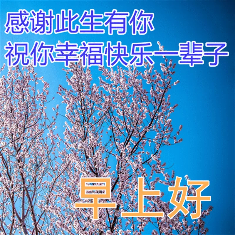 心灵黑鸡汤_金融心灵鸡汤语录_很贱搞笑的心灵毒鸡汤