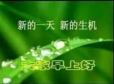 宋小宝经典鸡汤语录_最好的经典语录鸡汤感悟人生_朋友心灵鸡汤经典语录