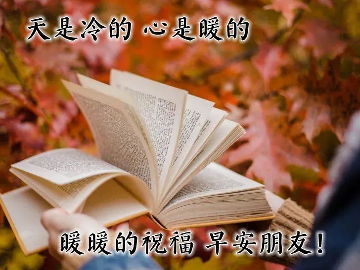 爱情心灵毒鸡汤_心灵鸡汤图片带字_高考心灵毒鸡汤