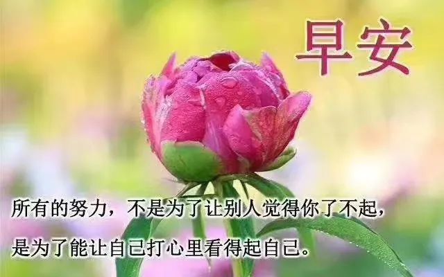 心灵鸡汤图片带字_爱情心灵毒鸡汤_高考心灵毒鸡汤