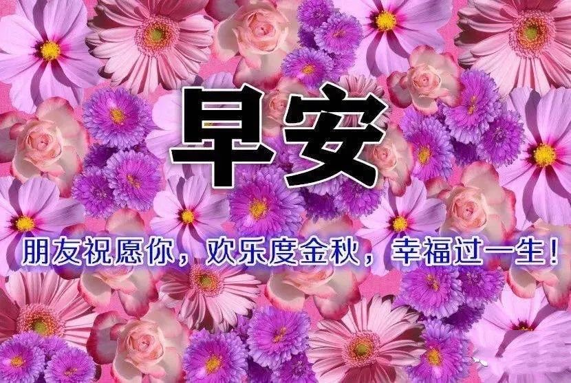 早安心灵鸡汤经典图片_早安鸡汤配美图_鸡汤早安语录