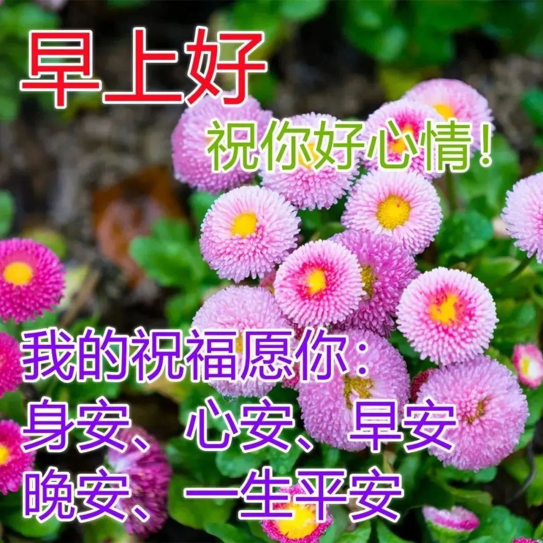 唯美鸡汤短句_心灵鸡汤唯美句子_唯美鸡汤句子心灵感悟短句