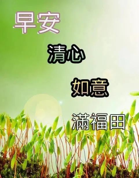 励志语录鸡汤短句_励志鸡汤语段_心灵鸡汤经典语录励志图片大全