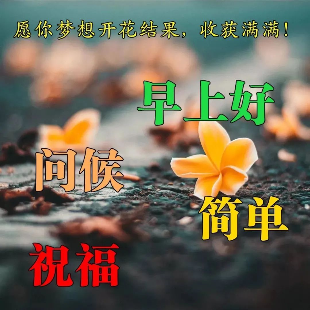 朋友圈的鸡汤说说怎么发朋友圈_朋友圈鸡汤配文_心灵鸡汤 朋友圈