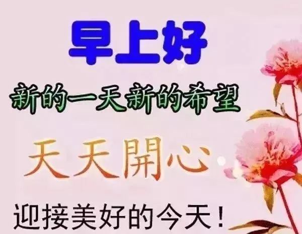 心灵鸡汤经典语录友情_关于友情的心灵鸡汤句子_友情鸡汤句子