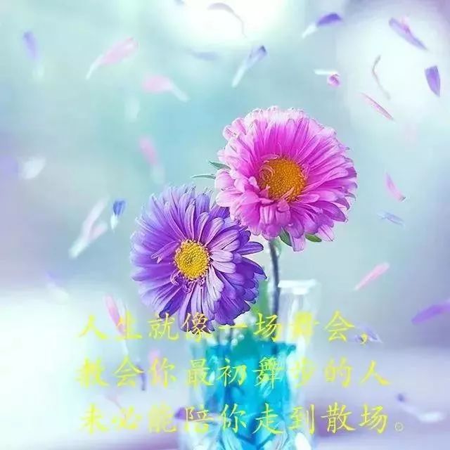 心灵鸡汤经典语录图片_宋小宝经典鸡汤语录_心灵毒鸡汤经典语录