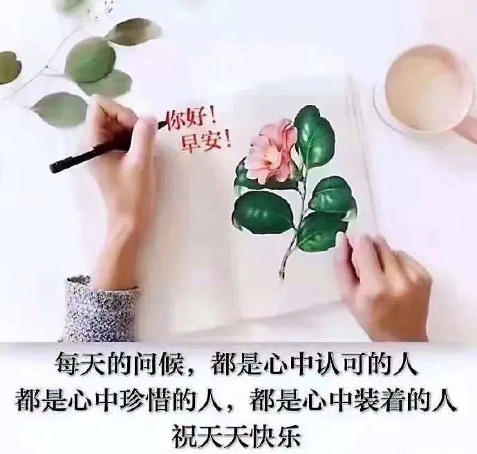 中考励志的心灵鸡汤_关于中考的励志句子的心灵鸡汤_中考心灵鸡汤经典语录