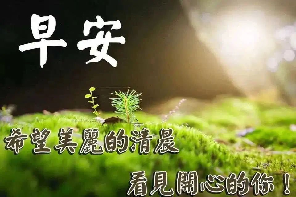 很贱搞笑的心灵毒鸡汤_心灵毒鸡汤段子_心灵鸡汤照片