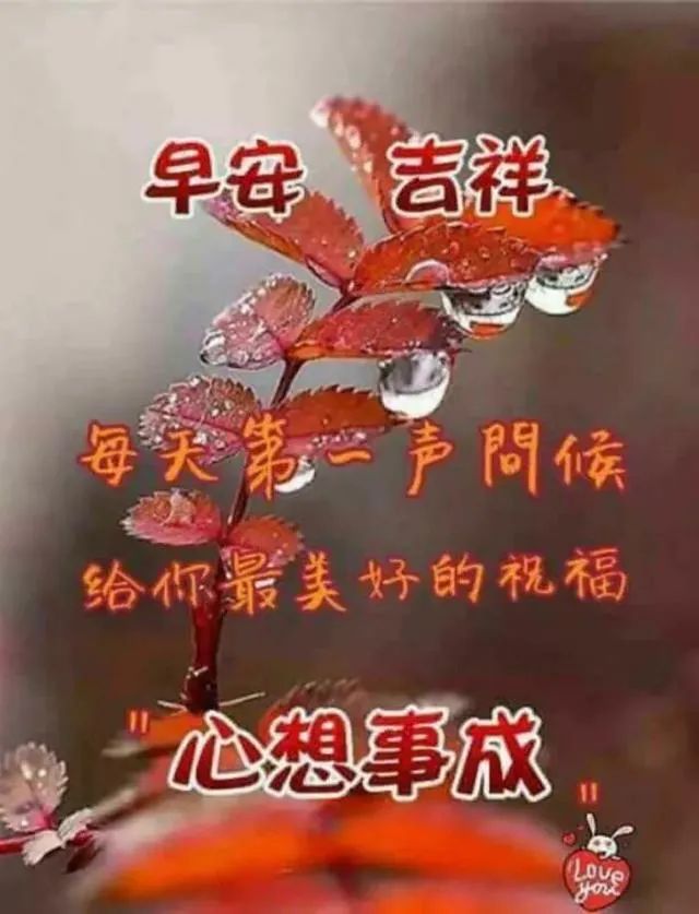 很贱搞笑的心灵毒鸡汤_心灵鸡汤照片_心灵毒鸡汤段子