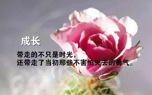 心灵鸡汤照片_心灵鸡汤的图片带字_鸡汤心灵语录手写图片