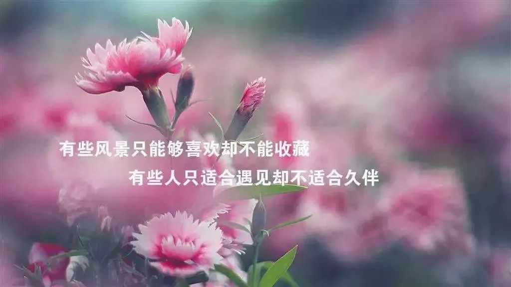 心灵鸡汤的图片带字_心灵鸡汤照片_鸡汤心灵语录手写图片