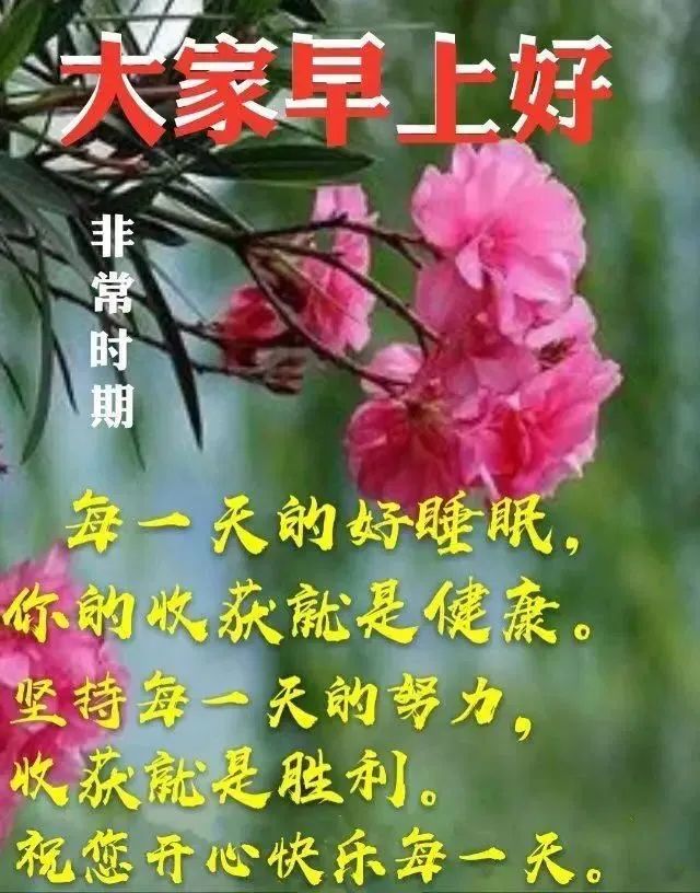 安静如鸡是怎么回事_安静经典句子说说心情_心灵鸡汤-在安静中,不慌不忙地坚强 在线阅读