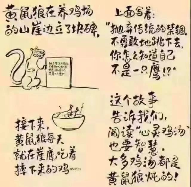 读心灵鸡汤心得体会_学生版的心灵鸡汤读后感_鸡汤读后感大全集