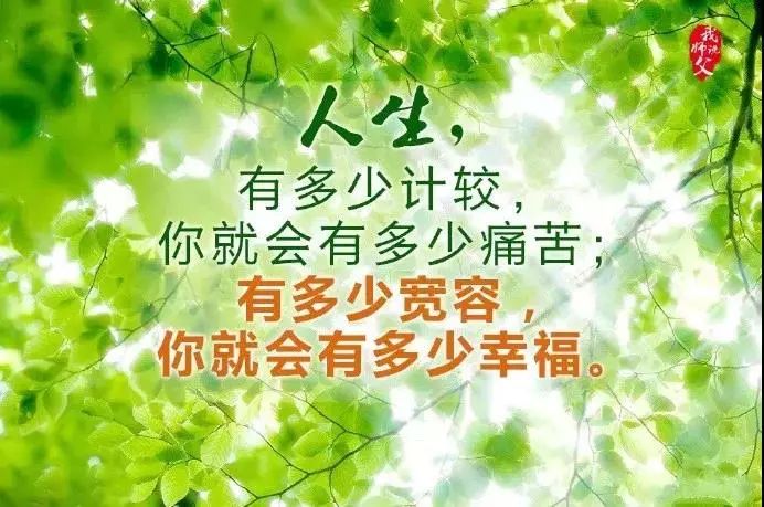 励志鸡汤心灵文章摘抄_励志鸡汤心灵文章素材_励志心灵鸡汤文章