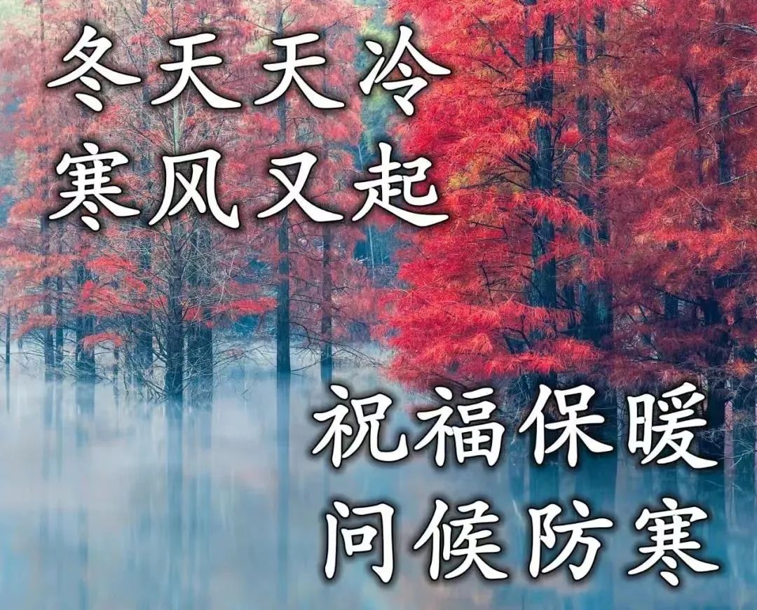 职场励志心灵鸡汤短文_励志的职场鸡汤文_职场励志心灵鸡汤文章