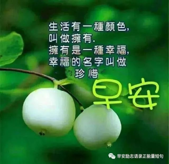 心灵鸡汤经典语录生日_生日祝福鸡汤语录_生日鸡汤文案