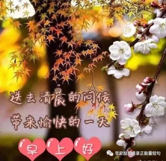 心灵鸡汤经典语录生日_生日鸡汤文案_生日祝福鸡汤语录