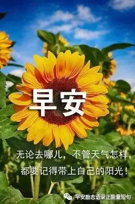 生日祝福鸡汤语录_心灵鸡汤经典语录生日_生日鸡汤文案