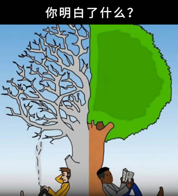 有关友情的心灵鸡汤_友情鸡汤经典语录_关于友情的心灵鸡汤句子