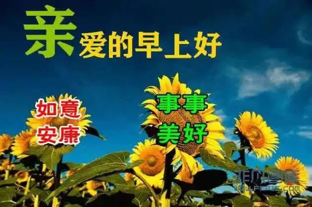 早安正能量励志鸡汤心灵语录_早安鸡汤文励志_早安心灵鸡汤励志语录