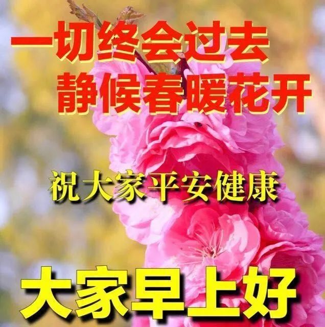 早安鸡汤文励志_早安正能量励志鸡汤心灵语录_早安心灵鸡汤励志语录