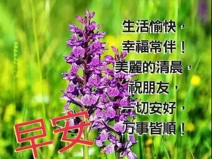 早安正能量励志鸡汤心灵语录_早安鸡汤文励志_早安心灵鸡汤励志语录