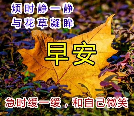 心灵鸡汤带图的说说_鸡汤说说心灵图带文字_鸡汤说说心灵图带图片