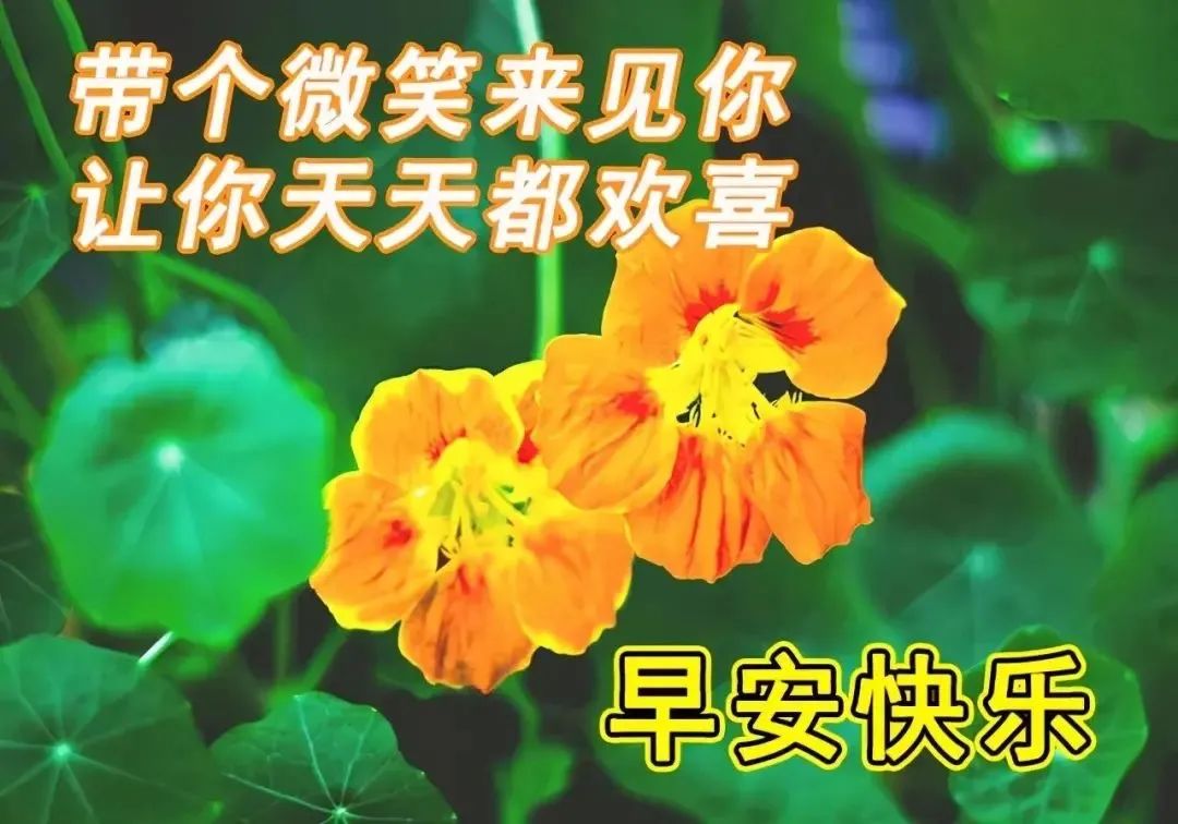 心灵鸡汤带图的说说_鸡汤说说心灵图带文字_鸡汤心灵朋友圈