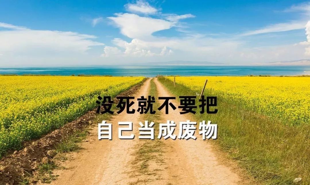 心灵鸡汤阳光_阳光心灵鸡汤_阳光心灵鸡汤短句