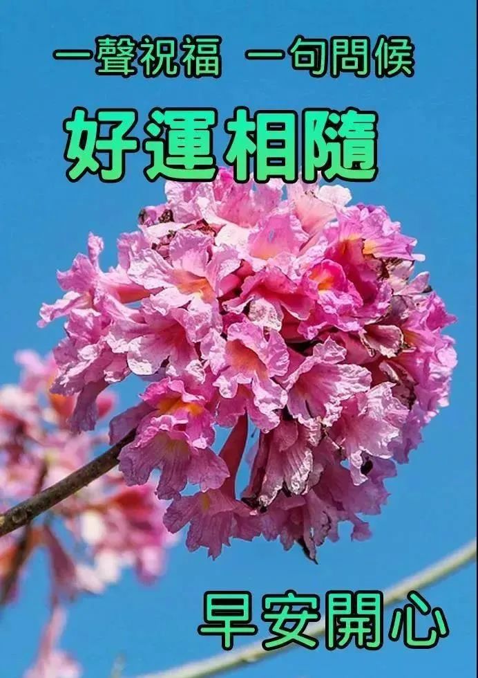 阳光心灵鸡汤_阳光心灵鸡汤短句_心灵鸡汤阳光