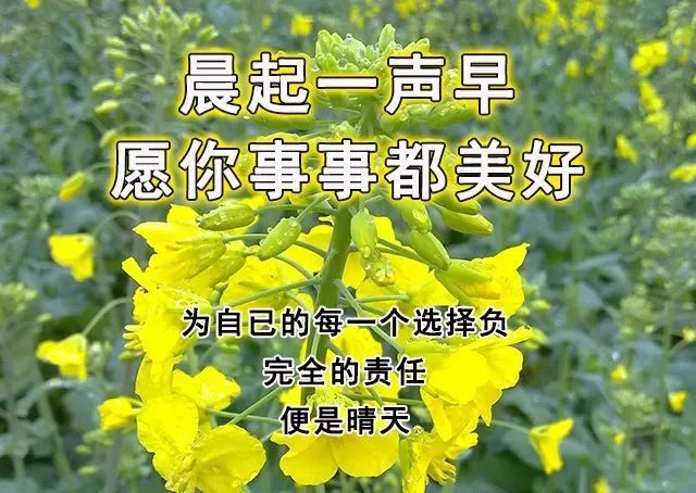 心灵鸡汤经典语录励志早安_早安鸡汤文励志_励志早安鸡汤简短