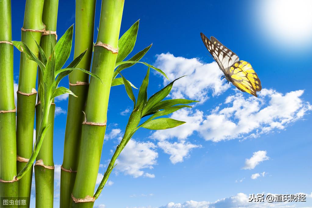 心灵鸡汤骗局_心灵鸡汤是什么书_投资者心灵鸡汤