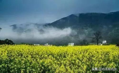 友情鸡汤经典语录_关于友情的心灵鸡汤_友情心灵鸡汤经典语录