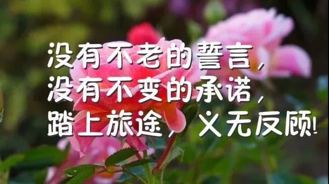 励志鸡汤心灵文章大全_励志的心灵鸡汤文章_励志心灵鸡汤短文